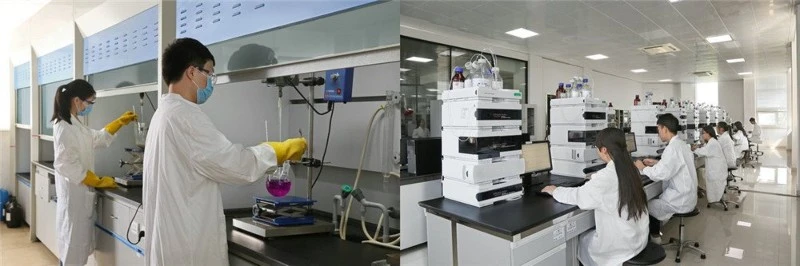 chemical synthesis | Shaanxi BLOOM Tech Co., Ltd chemical synthesis | Shaanxi BLOOM Tech Co., Ltd