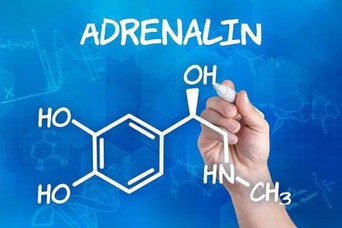Adrenalone hydrochloride uses Adrenalone hydrochloride uses