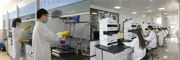 Sulfadimethoxine synthesis Sulfadimethoxine synthesis