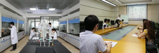 Retatrutide synthesis | Shaanxi BLOOM Tech Co., Ltd Retatrutide synthesis | Shaanxi BLOOM Tech Co., Ltd