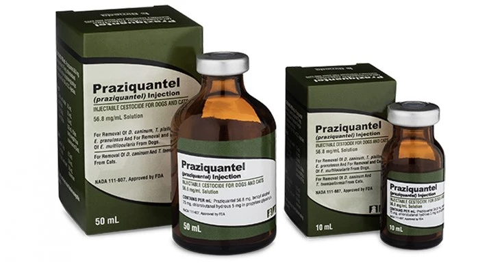 Praziquantel Injection best