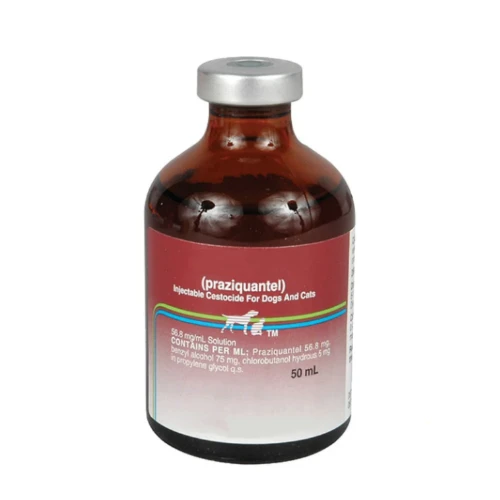 Praziquantel Injection factory