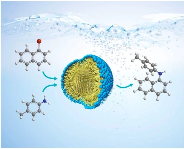 AOD 9604 Powder use | Shaanxi BLOOM Tech Co., Ltd AOD 9604 Powder use | Shaanxi BLOOM Tech Co., Ltd