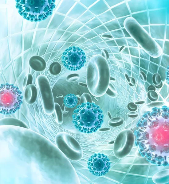 Ivermectin Powder use | Shaanxi BLOOM Tech Co., Ltd Ivermectin Powder use | Shaanxi BLOOM Tech Co., Ltd