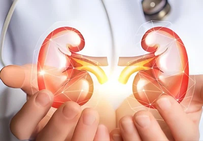 Ivermectin Powder use | Shaanxi BLOOM Tech Co., Ltd Ivermectin Powder use | Shaanxi BLOOM Tech Co., Ltd