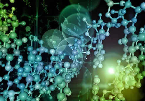 Spermidine Tablets use| Shaanxi BLOOM Tech Co., Ltd Spermidine Tablets use| Shaanxi BLOOM Tech Co., Ltd