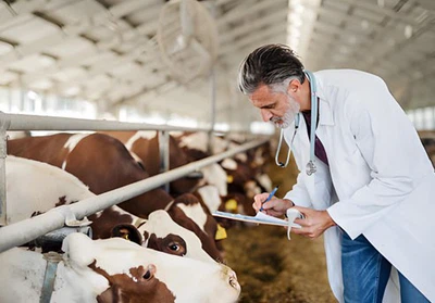 GS-441524 Tablets use | Shaanxi BLOOM Tech Co., Ltd GS-441524 Tablets use | Shaanxi BLOOM Tech Co., Ltd