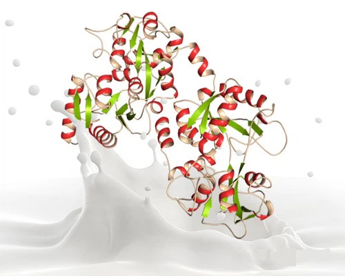 Spermidine Tablets use | Shaanxi BLOOM Tech Co., Ltd Spermidine Tablets use | Shaanxi BLOOM Tech Co., Ltd