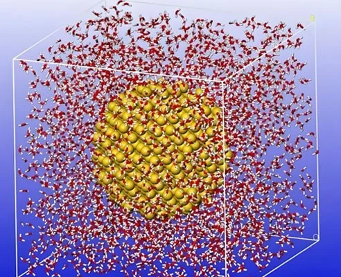NAD+ Peptide Injection use | Shaanxi BLOOM Tech Co., Ltd NAD+ Peptide Injection use | Shaanxi BLOOM Tech Co., Ltd