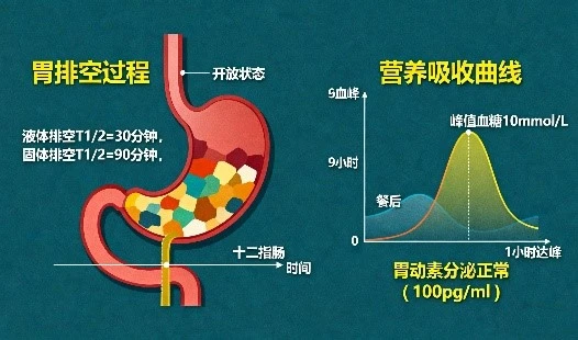 Cellular Changes | Shaanxi Bloom Tech Cellular Changes | Shaanxi Bloom Tech