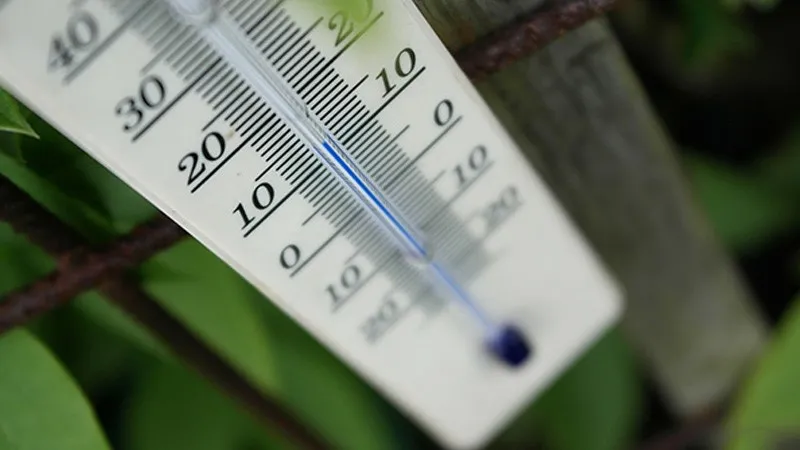 SLU-PP-332 Tablets | Shaanxi BLOOM Tech Co., Ltd SLU-PP-332 Tablets | Shaanxi BLOOM Tech Co., Ltd