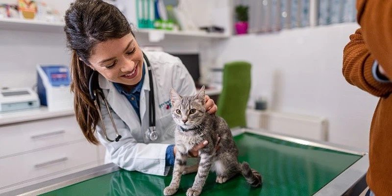 Fluralaner Drop Application Frequency | Shaanxi Bloom Tech Fluralaner Drop Application Frequency | Shaanxi Bloom Tech