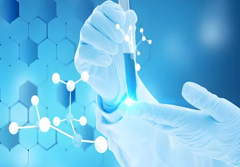 5-amino-1mq Chemicals | Shaanxi BLOOM Tech Co., Ltd 5-amino-1mq Chemicals | Shaanxi BLOOM Tech Co., Ltd