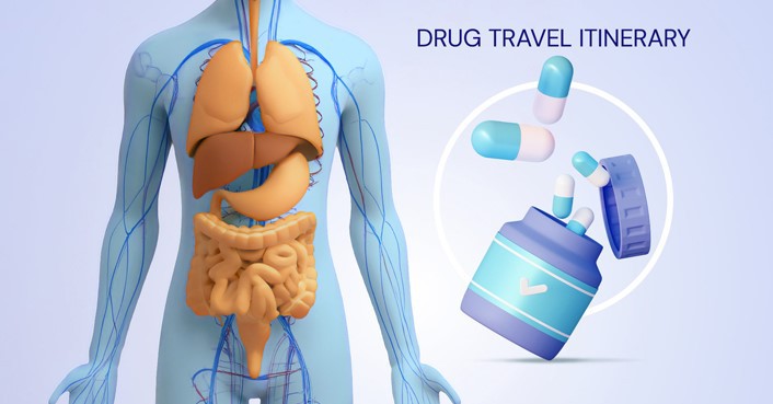 SLU-PP-332 Pharmacokinetics | Shaanxi BLOOM Tech Co., Ltd SLU-PP-332 Pharmacokinetics | Shaanxi BLOOM Tech Co., Ltd