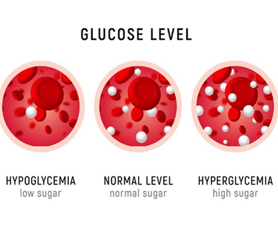 SLU-PP-332 glucose | Shaanxi BLOOM Tech Co., Ltd SLU-PP-332 glucose | Shaanxi BLOOM Tech Co., Ltd