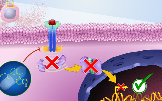 Filgotinib uses CAS 1206161-97-8 | Shaanxi BLOOM Tech Co., Ltd Filgotinib uses CAS 1206161-97-8 | Shaanxi BLOOM Tech Co., Ltd