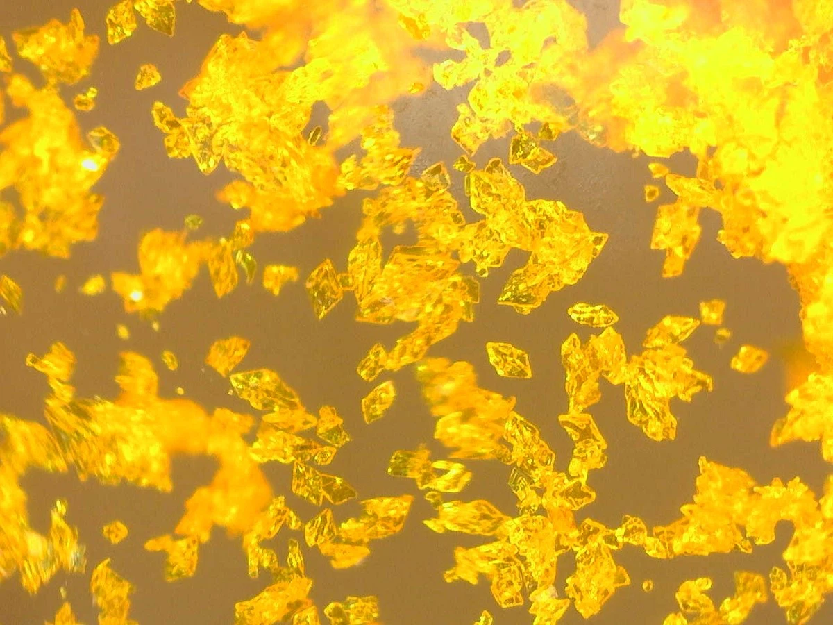 Ferrocene Powder CAS 102-54-5 | Shaanxi BLOOM Tech Co., Ltd Ferrocene Powder CAS 102-54-5 | Shaanxi BLOOM Tech Co., Ltd