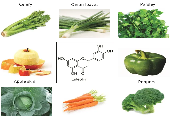 Luteolin Powder CAS 491-70-3 | Shaanxi BLOOM Tech Co., Ltd Luteolin Powder CAS 491-70-3 | Shaanxi BLOOM Tech Co., Ltd