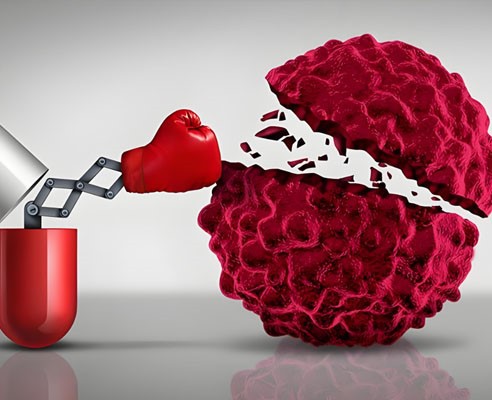 Slu-PP-332 Peptide use | Shaanxi BLOOM Tech Co., Ltd Slu-PP-332 Peptide use | Shaanxi BLOOM Tech Co., Ltd