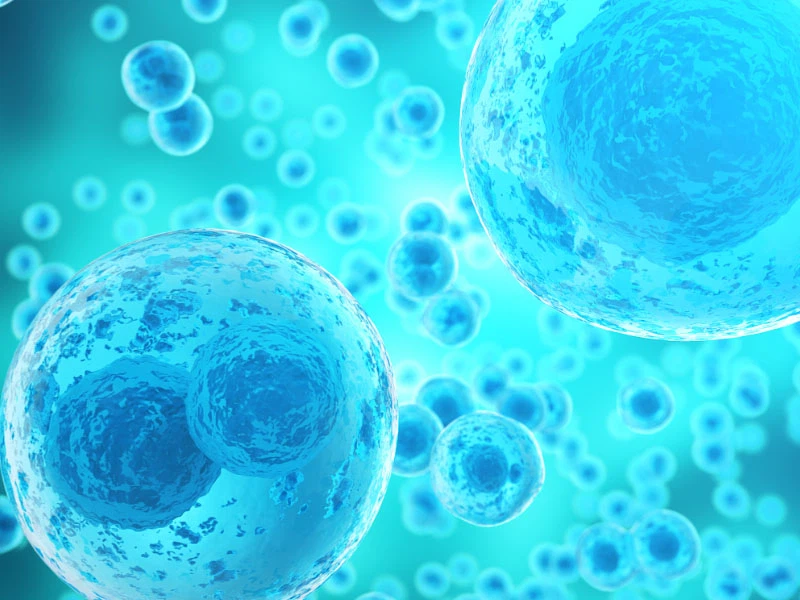 SLU-PP-332 Tablets Applications | Shaanxi BLOOM Tech Co., Ltd SLU-PP-332 Tablets Applications | Shaanxi BLOOM Tech Co., Ltd