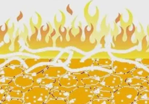 Bioglutide NA-931 Drugs | Shaanxi BLOOM Tech Co., Ltd Bioglutide NA-931 Drugs | Shaanxi BLOOM Tech Co., Ltd