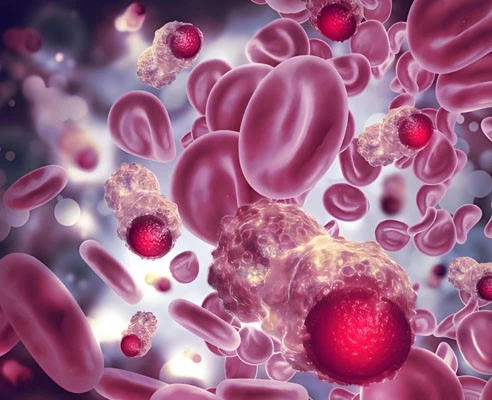 Bioglutide NA-931 Buy | Shaanxi BLOOM Tech Co., Ltd Bioglutide NA-931 Buy | Shaanxi BLOOM Tech Co., Ltd