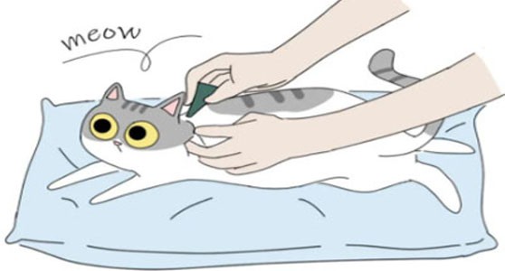 GS-441524 500mcg | Shaanxi BLOOM Tech Co., Ltd GS-441524 500mcg | Shaanxi BLOOM Tech Co., Ltd