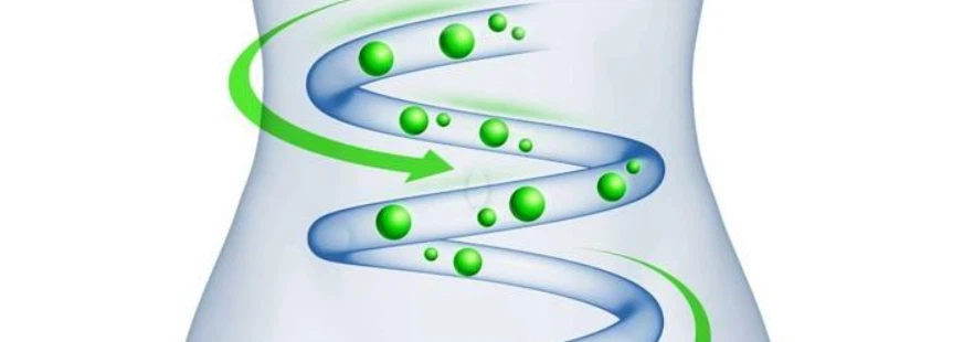 SLU-PP-332 effect | Shaanxi BLOOM Tech Co., Ltd SLU-PP-332 effect | Shaanxi BLOOM Tech Co., Ltd