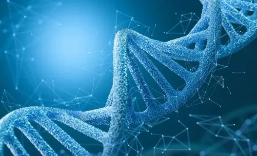 SLU-PP-332 cost | Shaanxi BLOOM Tech Co., Ltd SLU-PP-332 cost | Shaanxi BLOOM Tech Co., Ltd