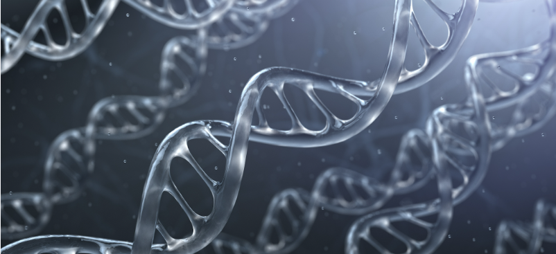 SLU-PP-332 Supporting DNA Repair Mechanisms | Shaanxi BLOOM Tech Co., Ltd SLU-PP-332 Supporting DNA Repair Mechanisms | Shaanxi BLOOM Tech Co., Ltd