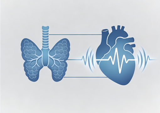 SLU-PP-332 boosting | Shaanxi BLOOM Tech Co., Ltd SLU-PP-332 boosting | Shaanxi BLOOM Tech Co., Ltd