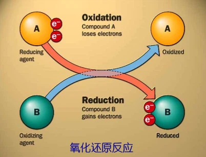 SLU-PP-332 Buy | Shaanxi BLOOM Tech Co., Ltd SLU-PP-332 Buy | Shaanxi BLOOM Tech Co., Ltd