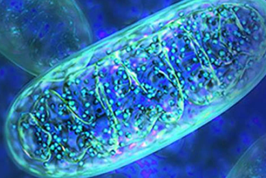 SLU-PP-332 Buy | Shaanxi BLOOM Tech Co., Ltd SLU-PP-332 Buy | Shaanxi BLOOM Tech Co., Ltd