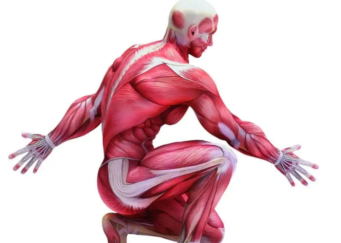 SLU-PP-332 Price | Shaanxi BLOOM Tech Co., Ltd SLU-PP-332 Price | Shaanxi BLOOM Tech Co., Ltd