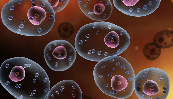 SLU-PP-332 Supply | Shaanxi BLOOM Tech Co., Ltd SLU-PP-332 Supply | Shaanxi BLOOM Tech Co., Ltd