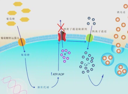 SLU-PP-332 Cost | Shaanxi BLOOM Tech Co., Ltd SLU-PP-332 Cost | Shaanxi BLOOM Tech Co., Ltd
