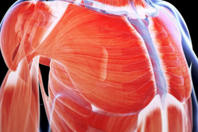 SLU-PP-332 Buy | Shaanxi BLOOM Tech Co., Ltd SLU-PP-332 Buy | Shaanxi BLOOM Tech Co., Ltd