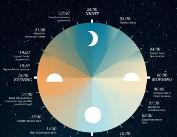 5-amino-1mq Feedback loops | Shaanxi BLOOM Tech Co., Ltd 5-amino-1mq Feedback loops | Shaanxi BLOOM Tech Co., Ltd