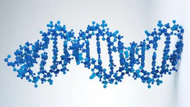 5-amino-1mq antecedents | Shaanxi BLOOM Tech Co., Ltd 5-amino-1mq antecedents | Shaanxi BLOOM Tech Co., Ltd