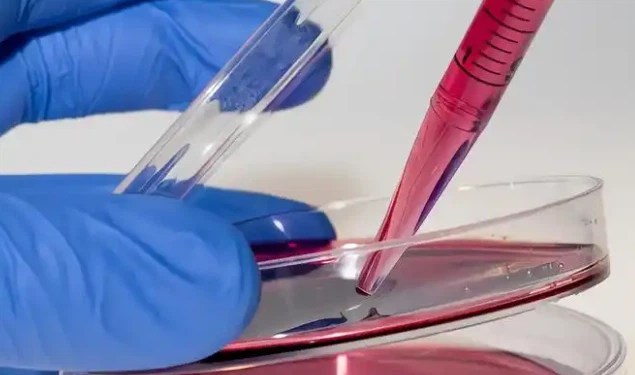 5-amino-1mq Considerations | Shaanxi BLOOM Tech Co., Ltd 5-amino-1mq Considerations | Shaanxi BLOOM Tech Co., Ltd