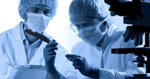 5-amino-1mq Acute administration examines | Shaanxi BLOOM Tech Co., Ltd 5-amino-1mq Acute administration examines | Shaanxi BLOOM Tech Co., Ltd