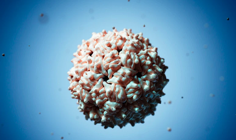 GS-441524 Scientific Validation And Clinical Evidence | Shaanxi BLOOM Tech Co., Ltd GS-441524 Scientific Validation And Clinical Evidence | Shaanxi BLOOM Tech Co., Ltd