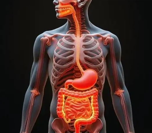 SLU-PP-332 price | Shaanxi BLOOM Tech Co., Ltd SLU-PP-332 price | Shaanxi BLOOM Tech Co., Ltd