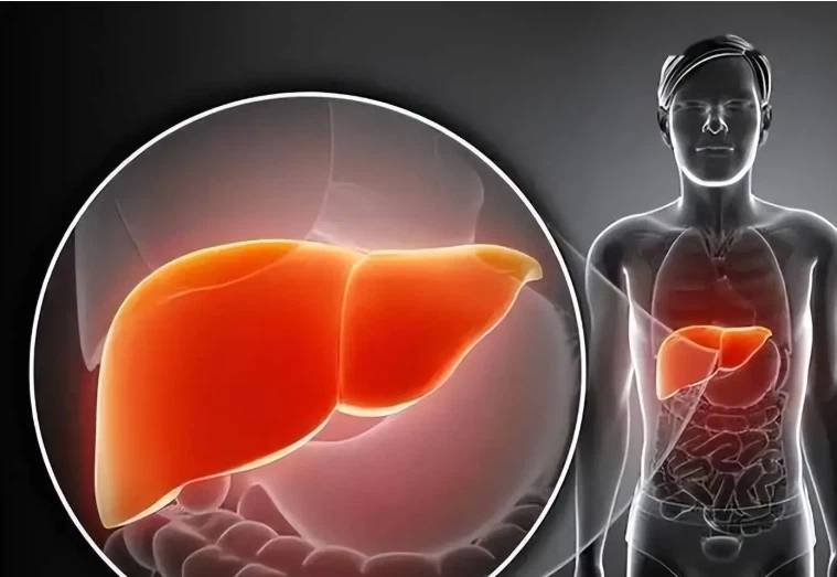 SLU-PP-332 purchase | Shaanxi BLOOM Tech Co., Ltd SLU-PP-332 purchase | Shaanxi BLOOM Tech Co., Ltd