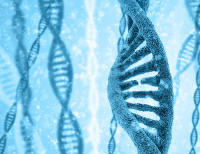 SLU-PP-332 250mcg | Shaanxi BLOOM Tech Co., Ltd SLU-PP-332 250mcg | Shaanxi BLOOM Tech Co., Ltd