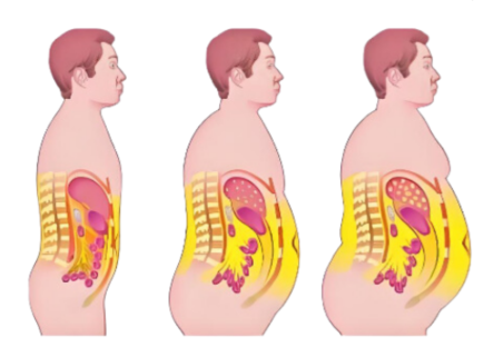 SLU-PP-332 Online | Shaanxi BLOOM Tech Co., Ltd SLU-PP-332 Online | Shaanxi BLOOM Tech Co., Ltd