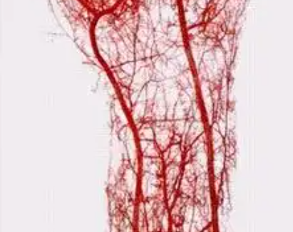 SLU-PP-332 500mcg | Shaanxi BLOOM Tech Co., Ltd SLU-PP-332 500mcg | Shaanxi BLOOM Tech Co., Ltd