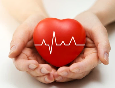 SLU-PP-332 Buy | Shaanxi BLOOM Tech Co., Ltd SLU-PP-332 Buy | Shaanxi BLOOM Tech Co., Ltd