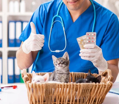 GS-441524 Online | Shaanxi BLOOM Tech Co., Ltd GS-441524 Online | Shaanxi BLOOM Tech Co., Ltd