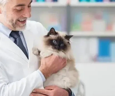 GS-441524 Cost | Shaanxi BLOOM Tech Co., Ltd GS-441524 Cost | Shaanxi BLOOM Tech Co., Ltd